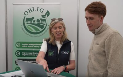 National Ploughing Championship Sept 2025